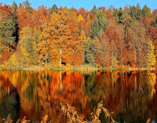 Autumn season
