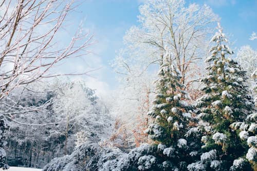 Winter season